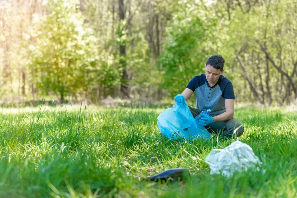 Cleaning of Forests and Parks from Garbage, Waste Collection