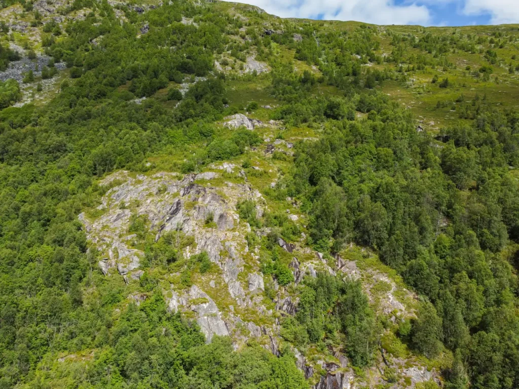 Mountain with Green Trees on a Warm Summer Day Under a Blue Sky